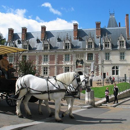 Blois City - Le Petit Saint Jean Екстер'єр фото