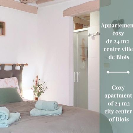 Blois City - Le Petit Saint Jean Екстер'єр фото