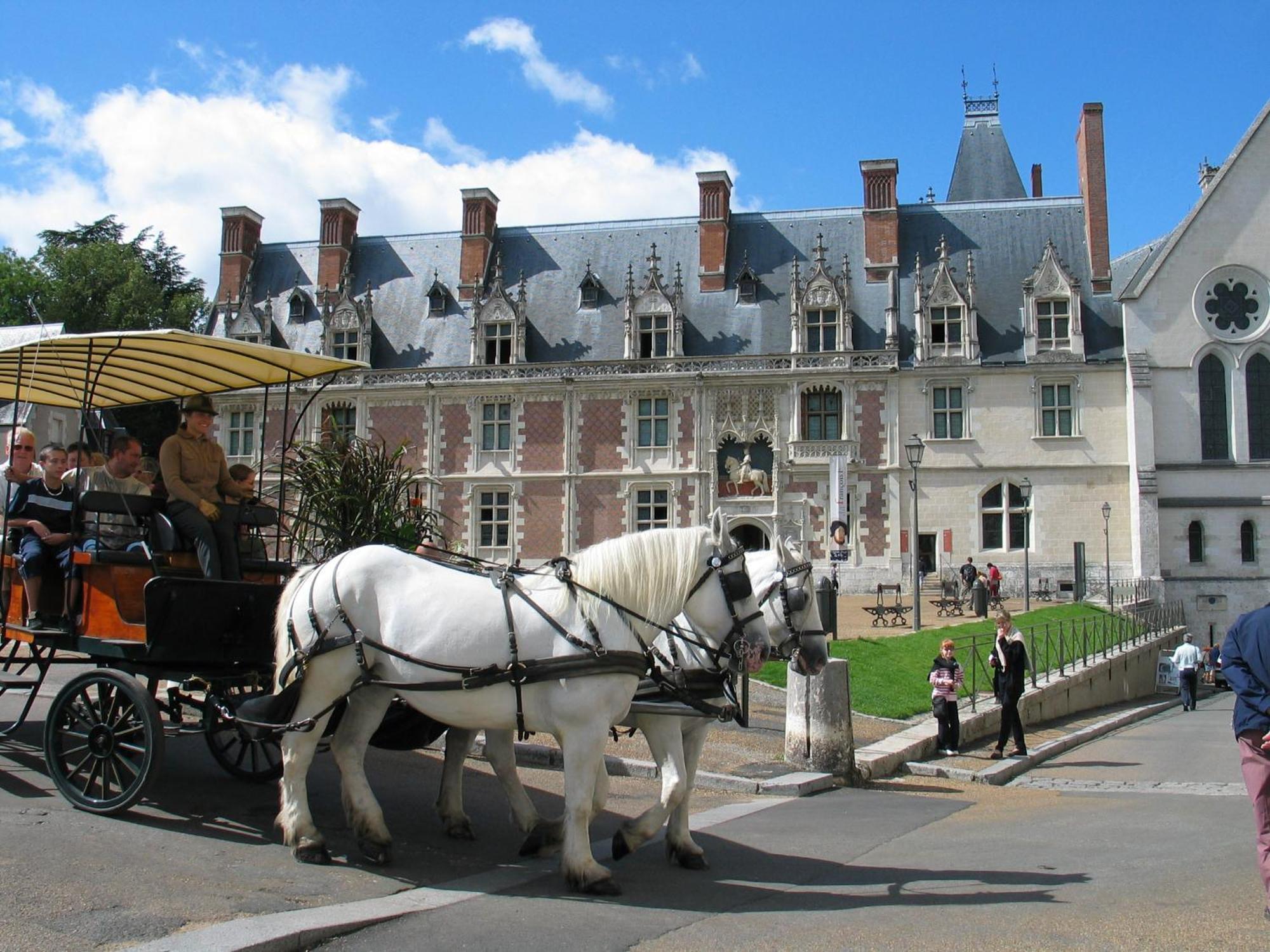 Blois City - Le Petit Saint Jean Екстер'єр фото