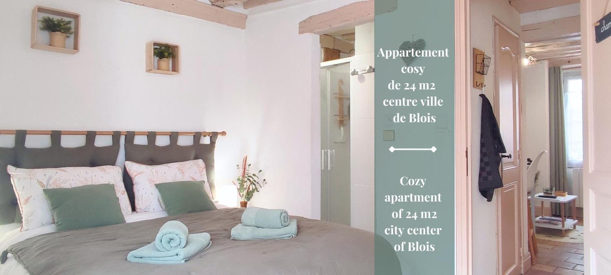 Blois City - Le Petit Saint Jean Екстер'єр фото